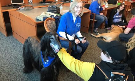 Students Take a Break From Classes to De-stress with Furry Companions