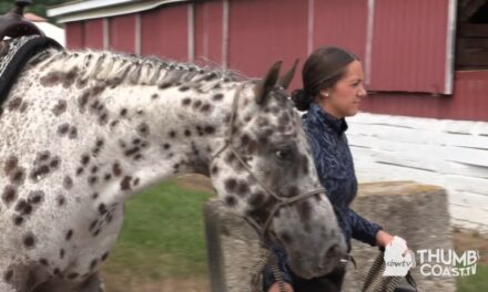 Sanilac 4-H Fair Spotlights Youth Achievements