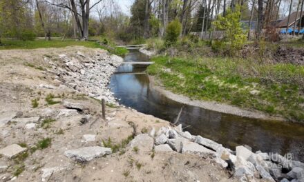 County’s Drains and Wetlands Explained