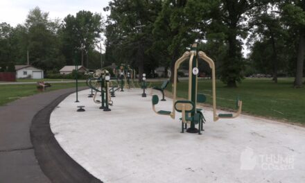 Free Workout Equipment at Clay Township Park