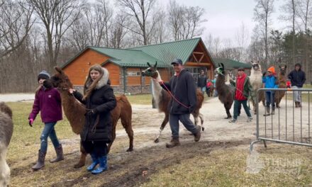 Fuzzy Meeting of the Llama Club with 4-H