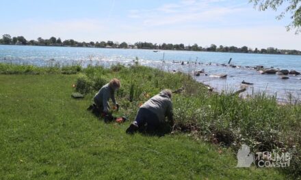 Planting Day Enhances Cottrellville Township Shoreline Park