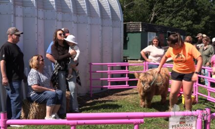 Cuddling Cows and Family Fun in The Thumb